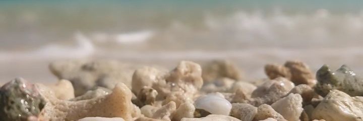 csnosh's profile banner image