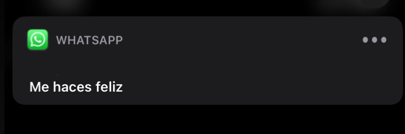 laaleeoonaa's profile banner image