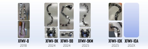 hogelungfish Profile Banner