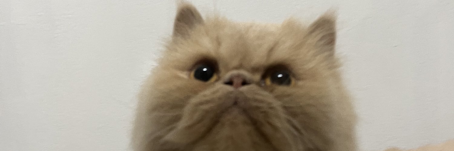 mirebcq's profile banner image