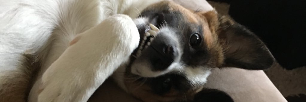 dorapap72's profile banner image