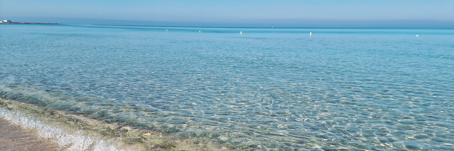 CLuca_Nicoletti's profile banner image