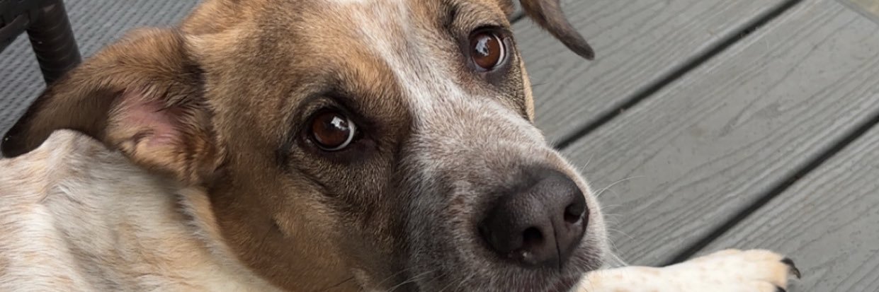 Matty__H__'s profile banner image