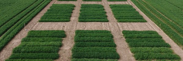 junttilantila Profile Banner