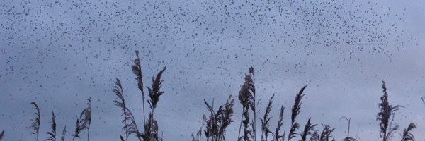 SimonJHill8 Profile Banner