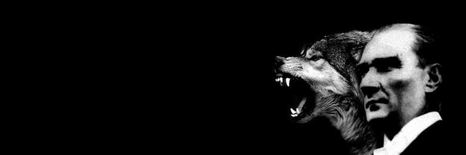 Anıl 🐍 | 🦇 🔊 banner