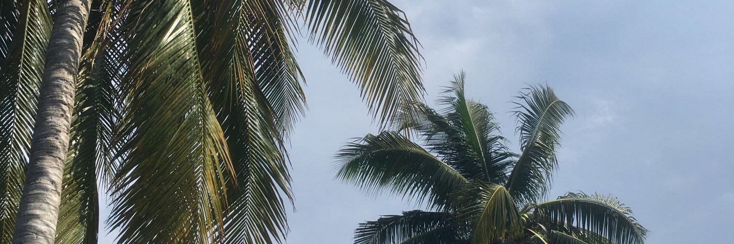 drnyutsem's profile banner image