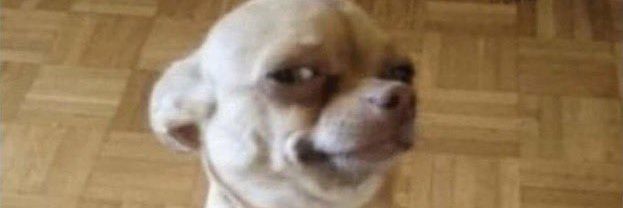 Rihanna's sugar boy banner