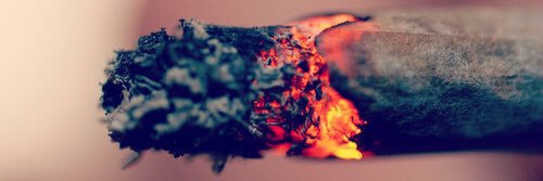 Daniel C banner