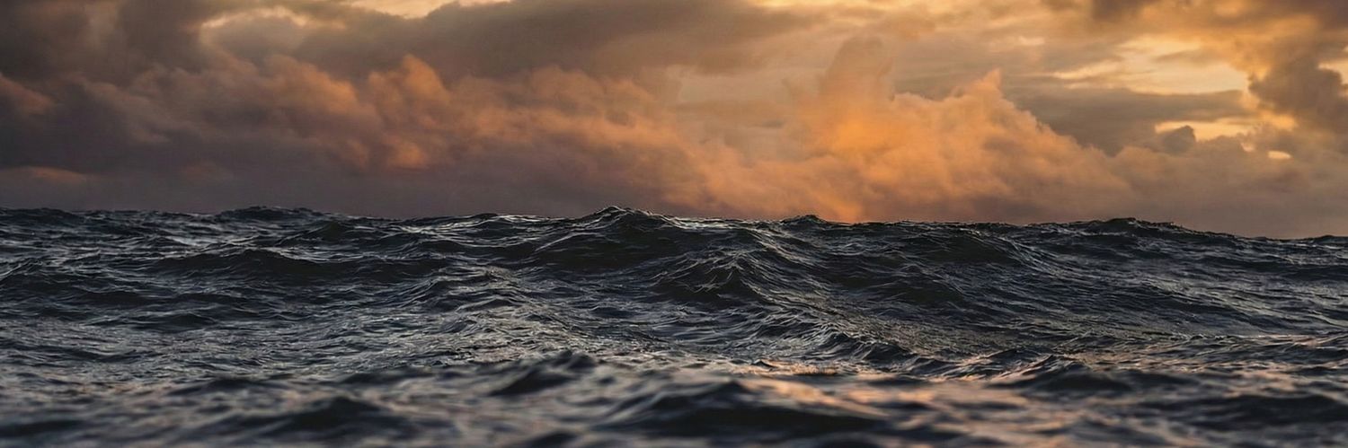 Marcelo Araújo banner