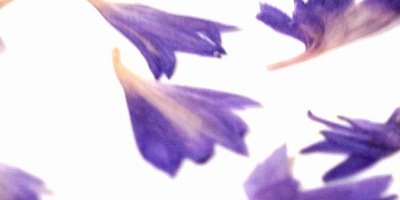 Fromjoancards's profile banner image