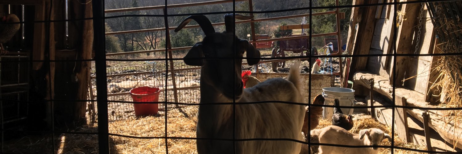 Randy Haddock 🇵🇷 banner