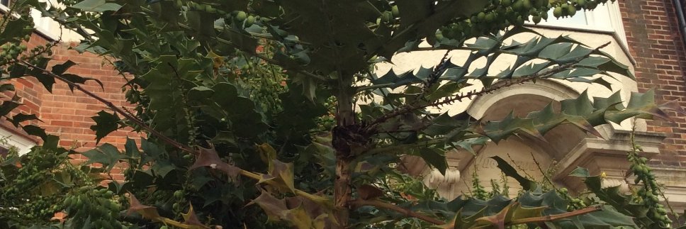 Queenwood Library, University of Brighton banner