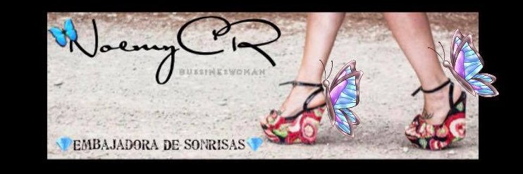 NoemyFlamenca's profile banner image