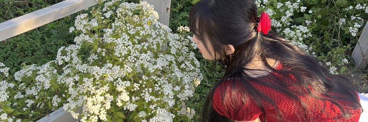 baerene banner