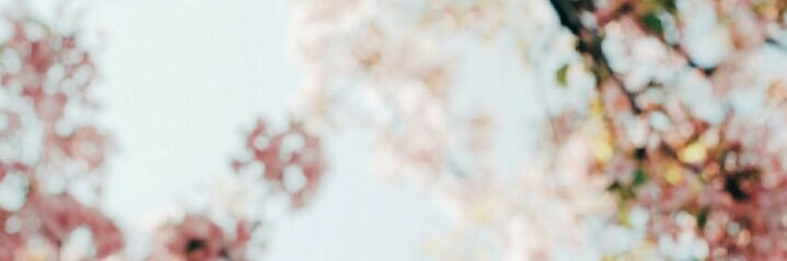 hhddu52's profile banner image