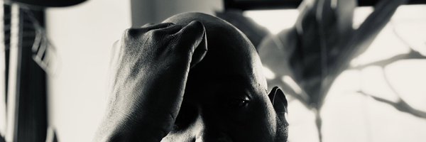 SilverSurf19 Profile Banner