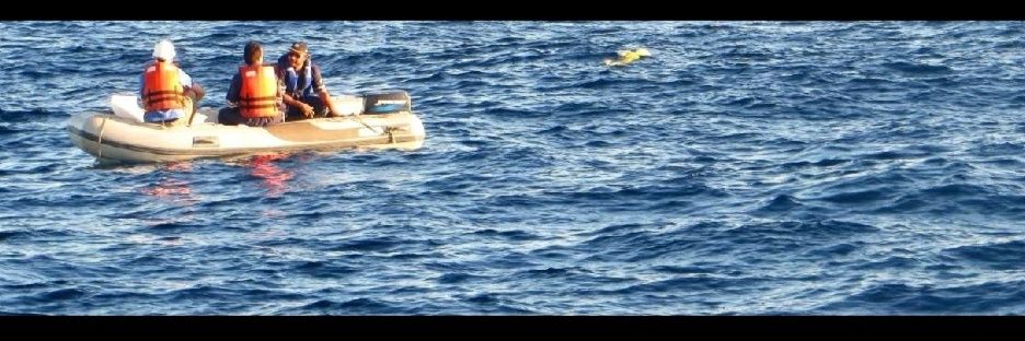 Danilo DNA Silva, PhD banner