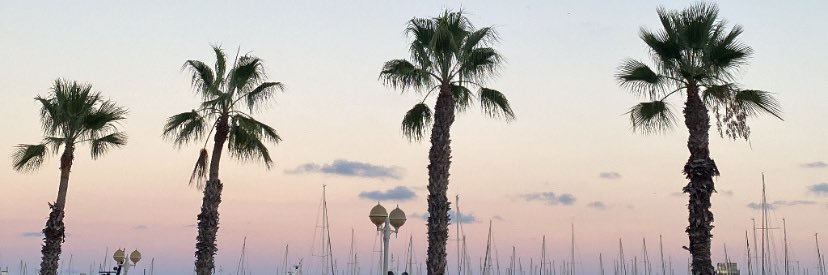 iciiaznar's profile banner image