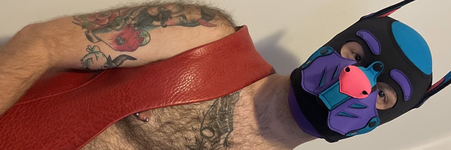 PupPolaris banner