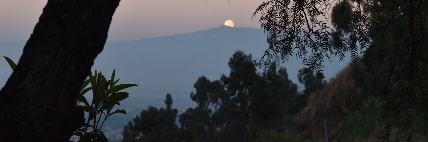Mónica Rocha Medina banner