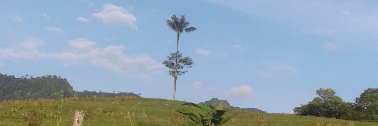 RubicundoApollo's profile banner image