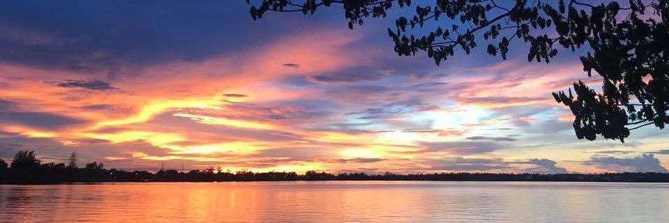 ลิตเติ้ล 🪿 banner