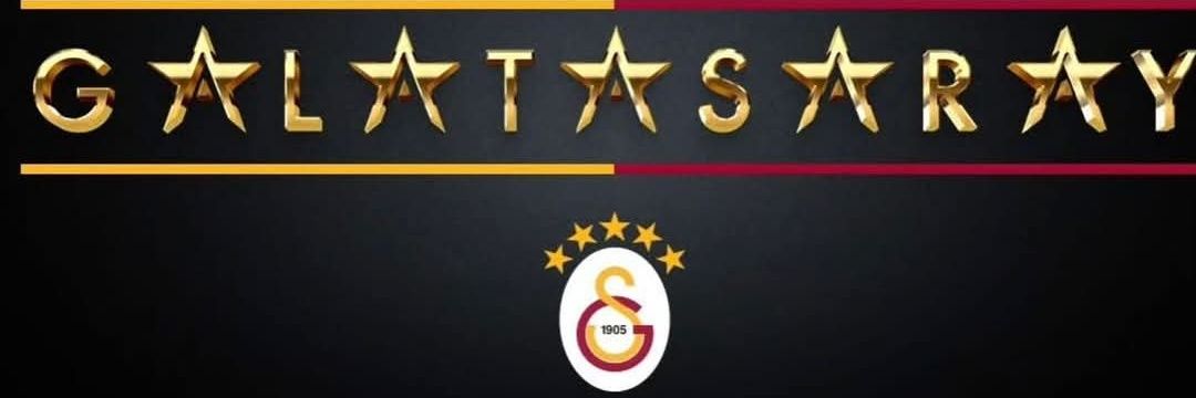 ltinkaya's profile banner image