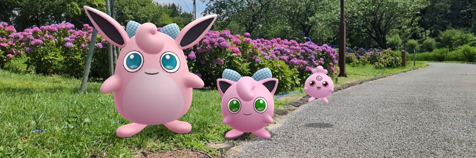 maam23's profile banner image