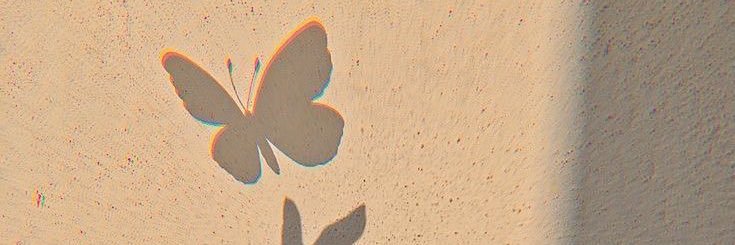 Maria_Sanchia ✨🦋 banner