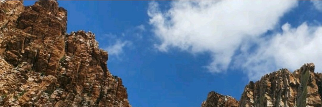 Noxy Mthethwa banner