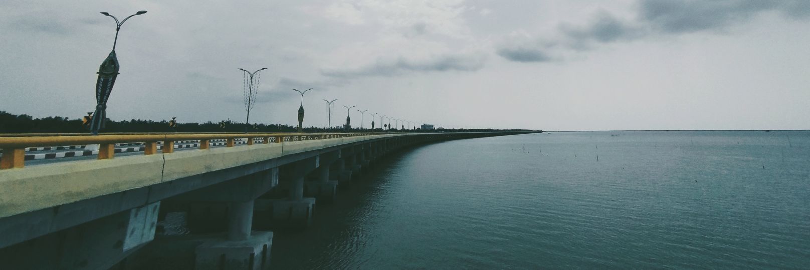 rayumsas's profile banner image