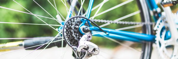 leindertvogel Profile Banner