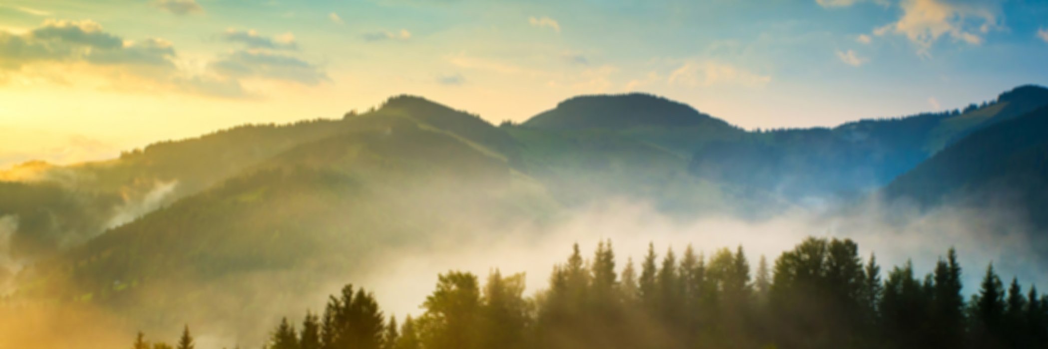 gregaroposa's profile banner image