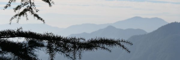 aditesh23 Profile Banner