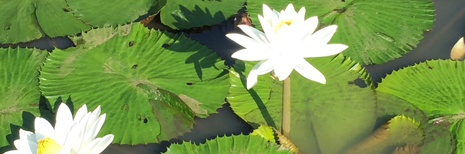 jejesuhandi's profile banner image