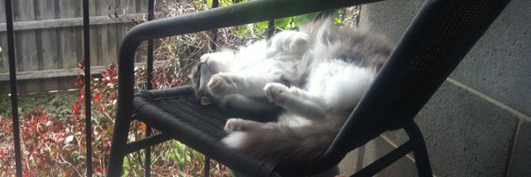 Tyler__ow Profile Banner