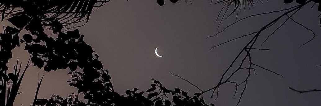 ♡ Natalie (´｡• ᵕ •｡`)♡ banner