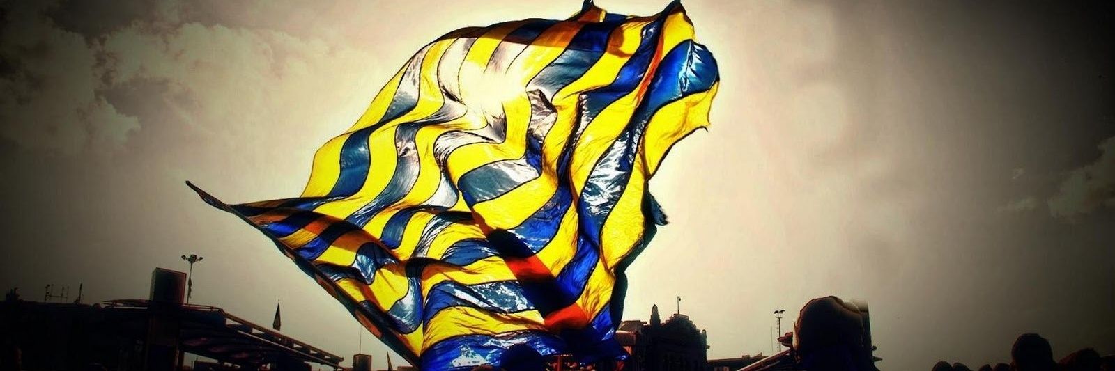 Mustafa Çiçek banner