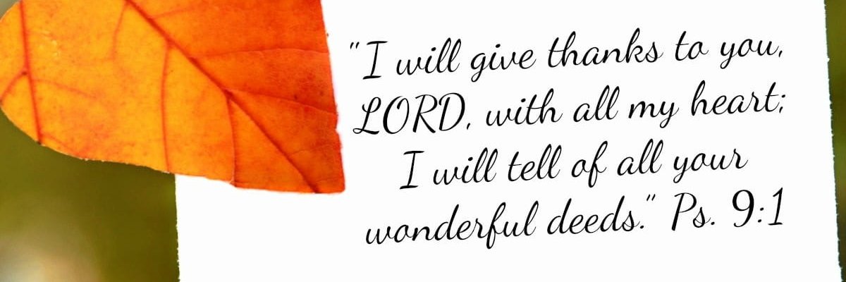 AdelineKayitesi's profile banner image