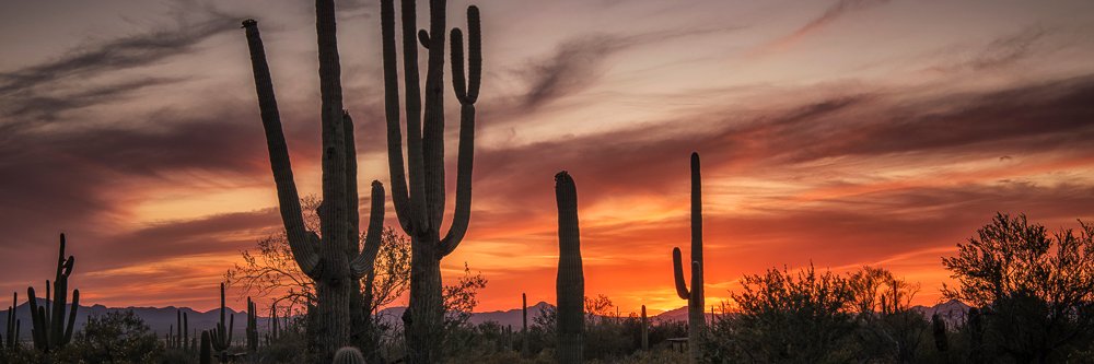 Jeff Englehart banner