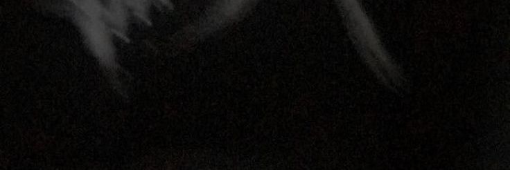 Tr banner