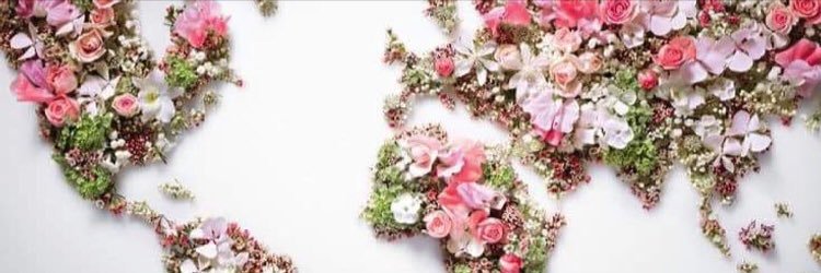 HannahMuir48's profile banner image