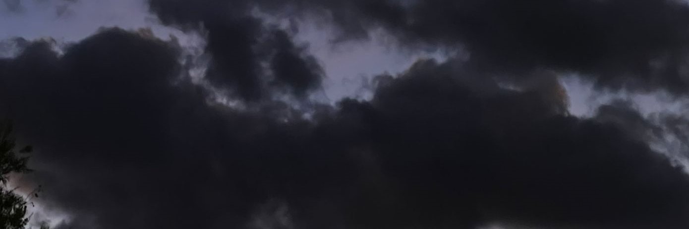 Sebas banner
