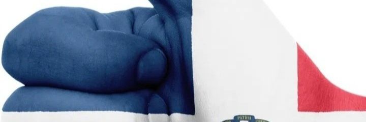 victor banner