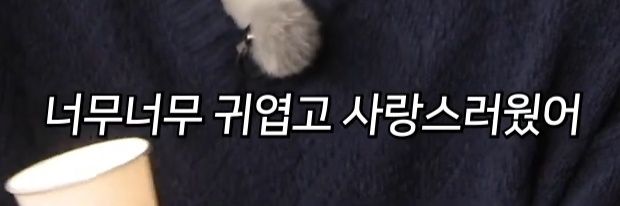 두지 banner