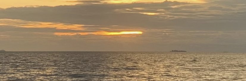 🌟 banner