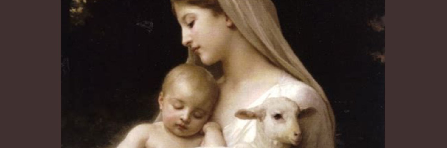 ohiopatriot🇺🇸 banner