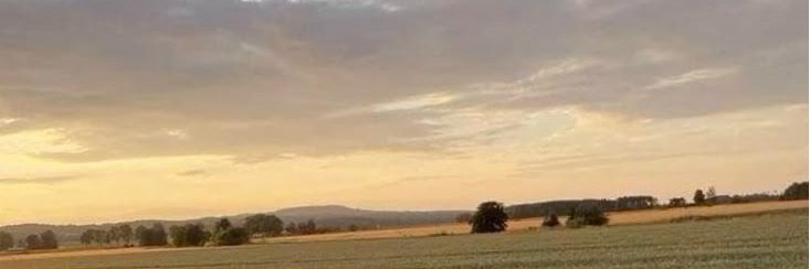 Ja, Stworek 🇵🇱 🇪🇺 banner