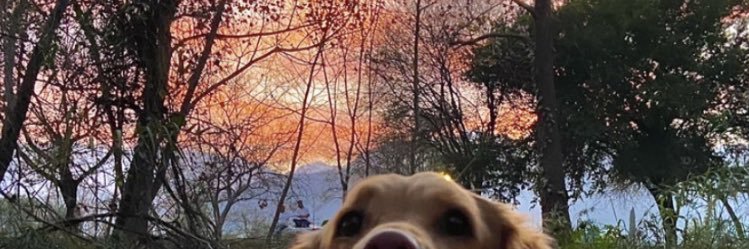 andreaDav3's profile banner image